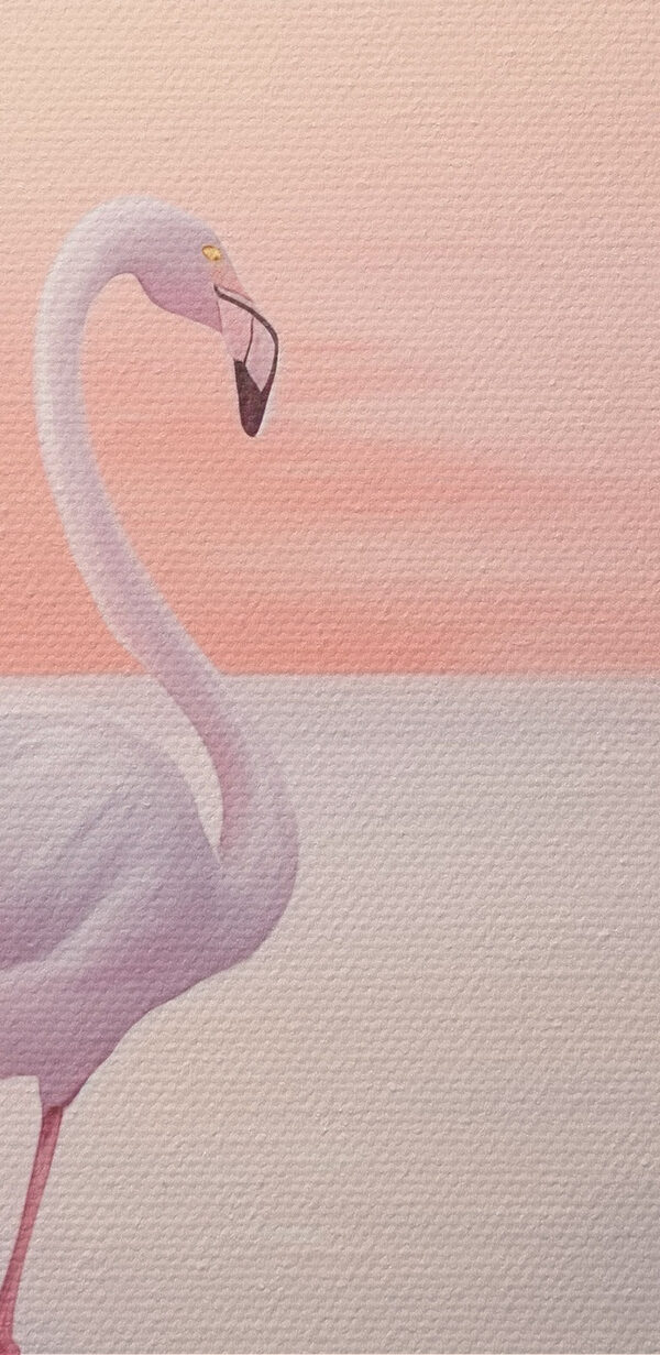 Group of flamingos standing in water
