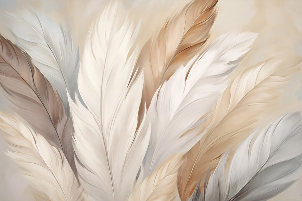 Group of feathers in different colors