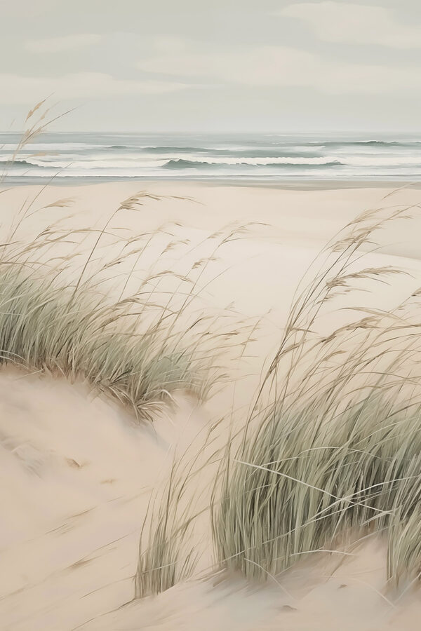 Beach with grass and sand Beach with grass and sand