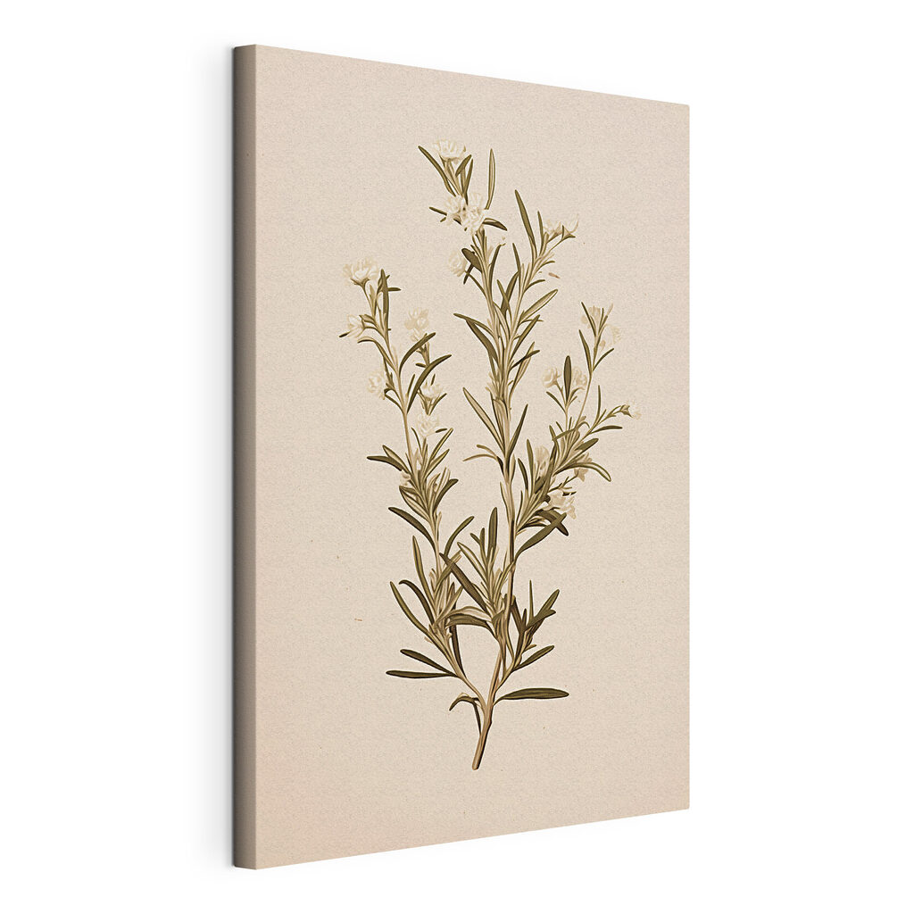 Plant with white flowers