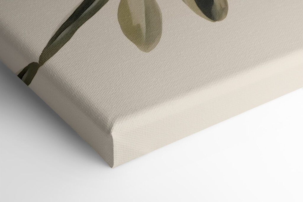 Painting of green olives on a branch Painting of green olives on a branch