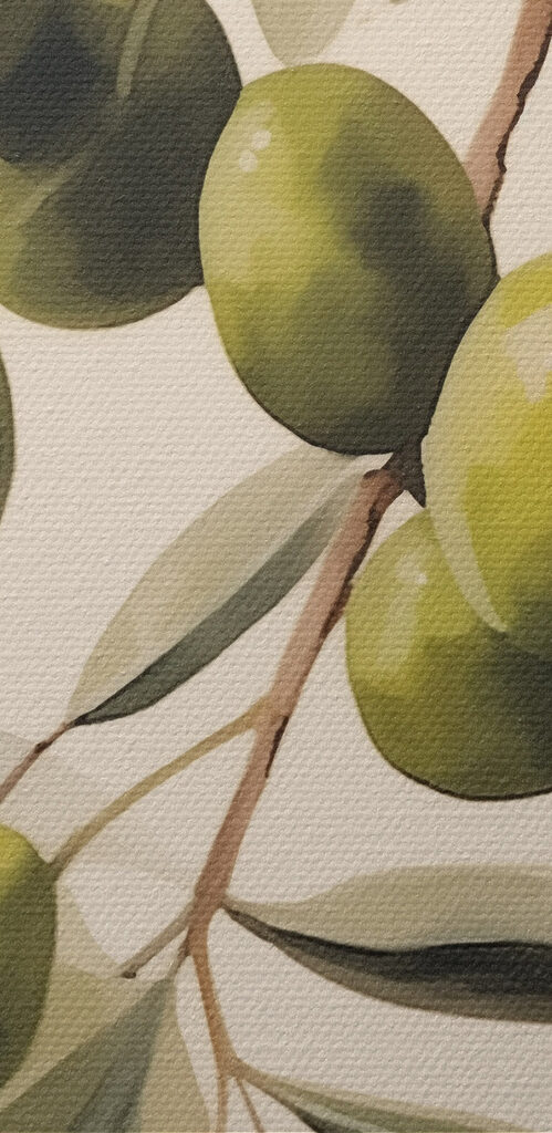 Painting of green olives on a branch Painting of green olives on a branch