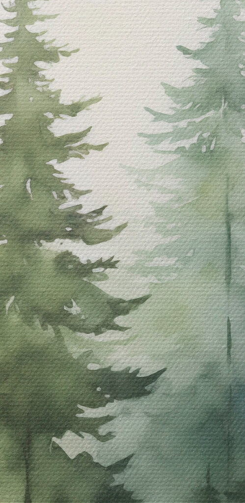 Group of trees in fog