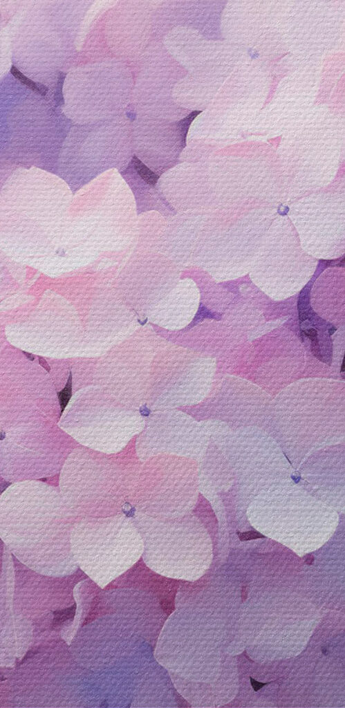 Group of purple flowers Group of purple flowers