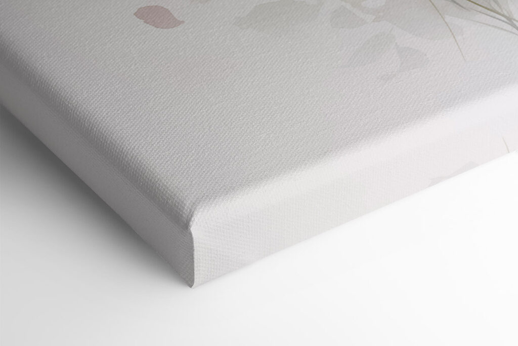 Painting of flowers on a white background Painting of flowers on a white background