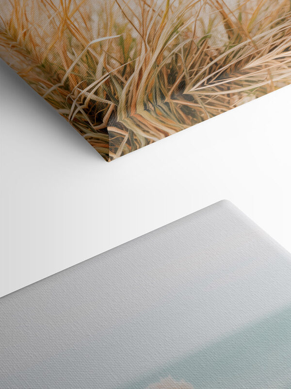 Soft grasses sway by gentle waves