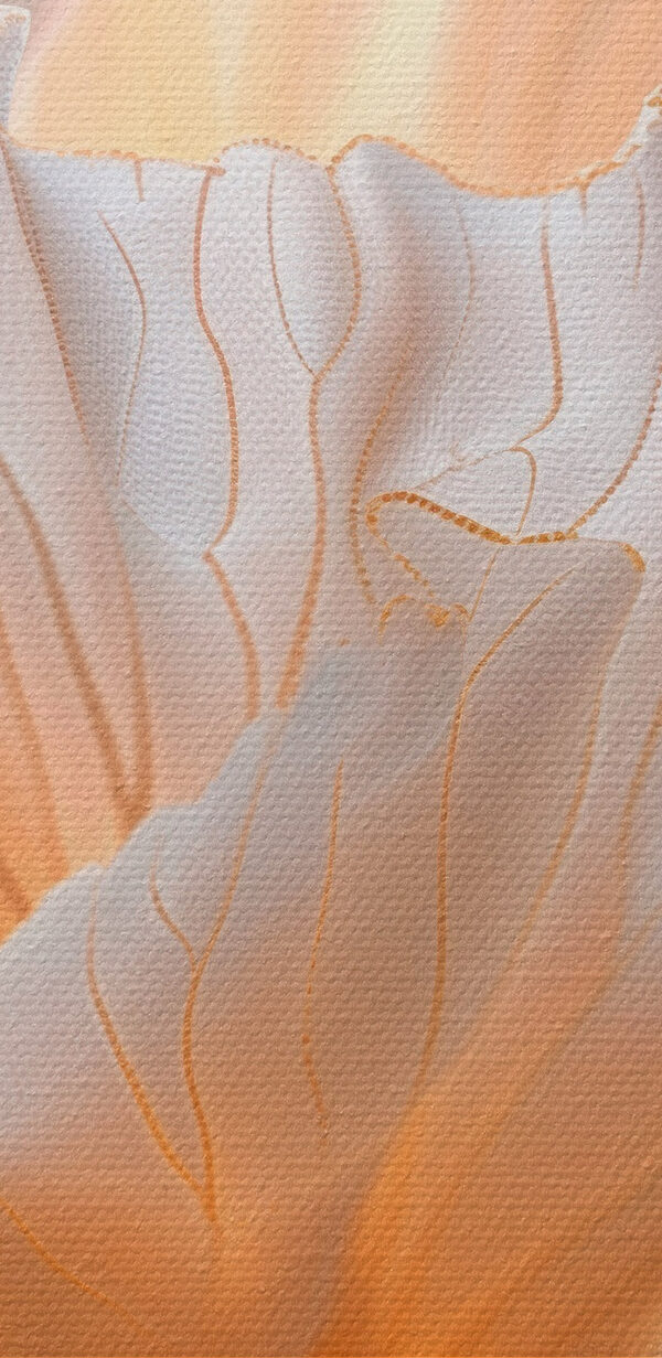 Delicate petals in soft colors