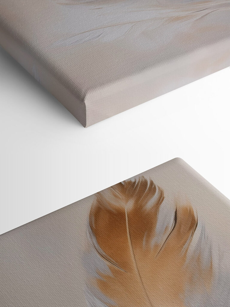 Soft feathers against a muted background