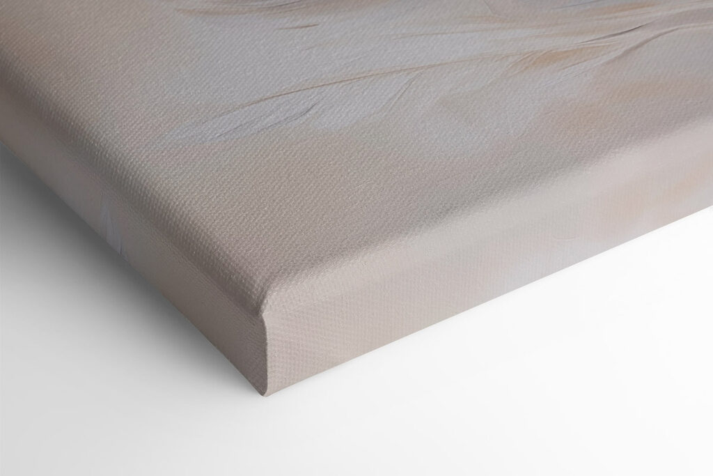 Soft feathers against a muted background