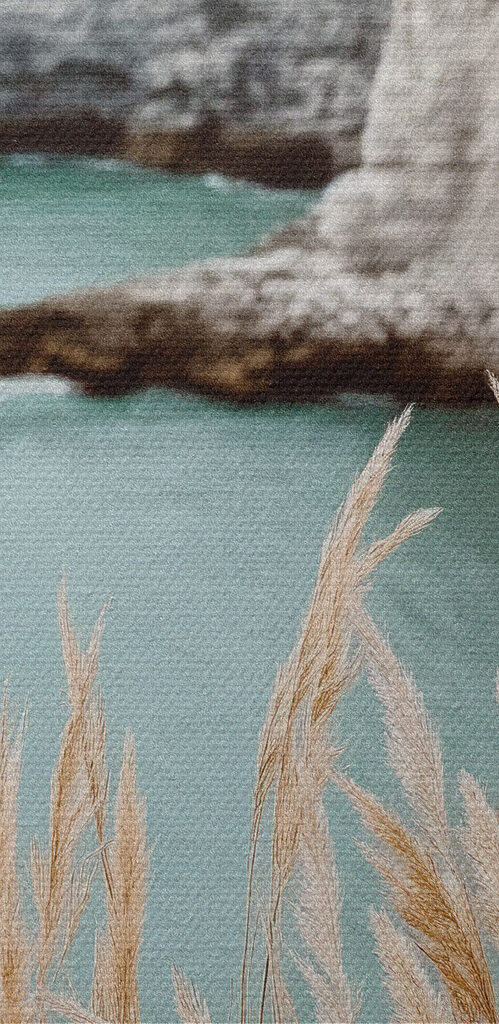 Tall grass next to a body of water