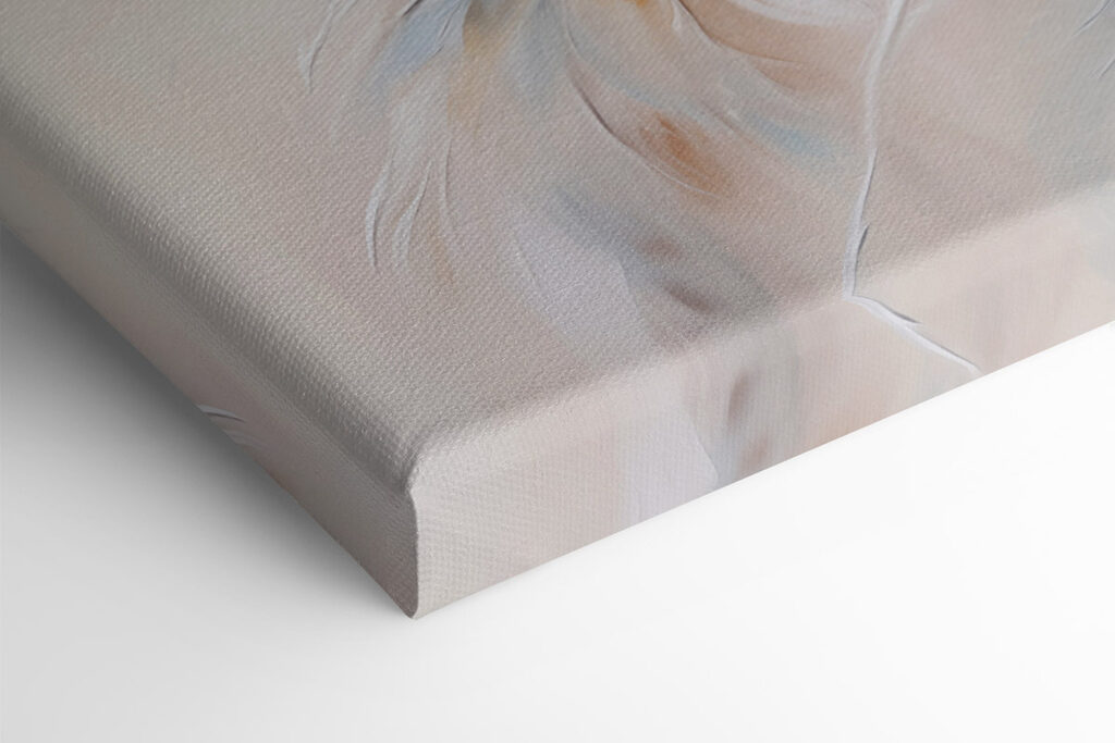 Soft feathers in gentle colors Soft feathers in gentle colors