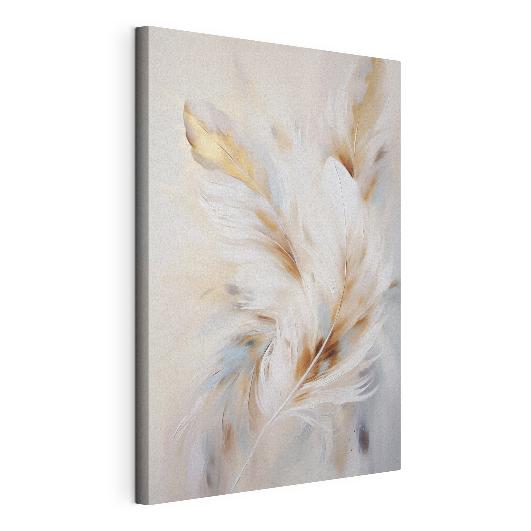 Soft feathers in gentle colors Soft feathers in gentle colors