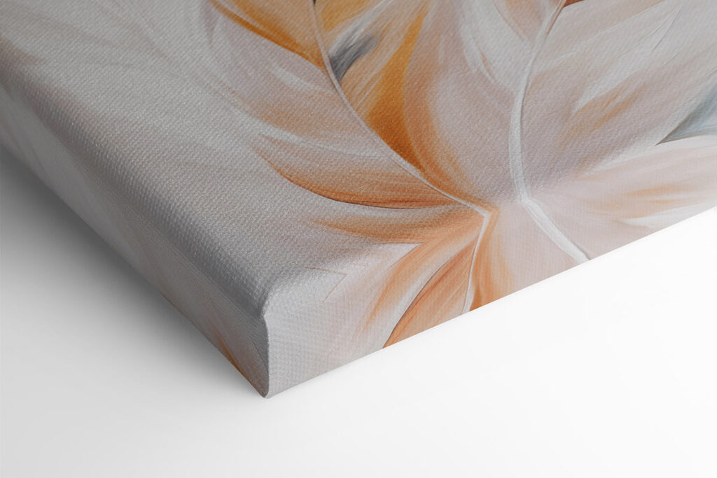 Soft feathers in warm hues blending Soft feathers in warm hues blending