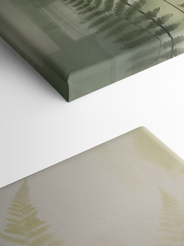 Fern leaves on a white background Fern leaves on a white background