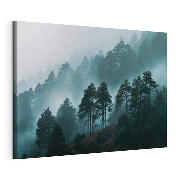 Tablouri Pădure cețoasă cu copaci (SKU: s49672) Tablouri Tablouri Pădure cețoasă cu copaci (SKU: s49672)