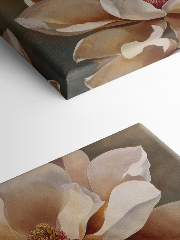Soft blooms in warm tones Soft blooms in warm tones