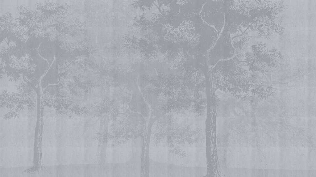 Grey background with trees Grey background with trees