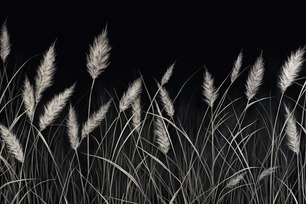 Soft grasses in a dark setting Soft grasses in a dark setting