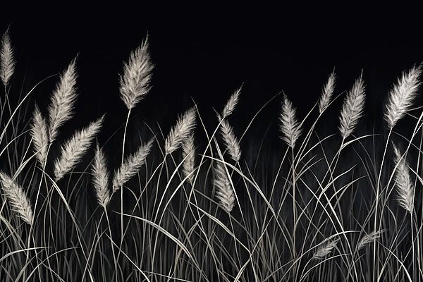 Soft grasses in a dark setting Soft grasses in a dark setting