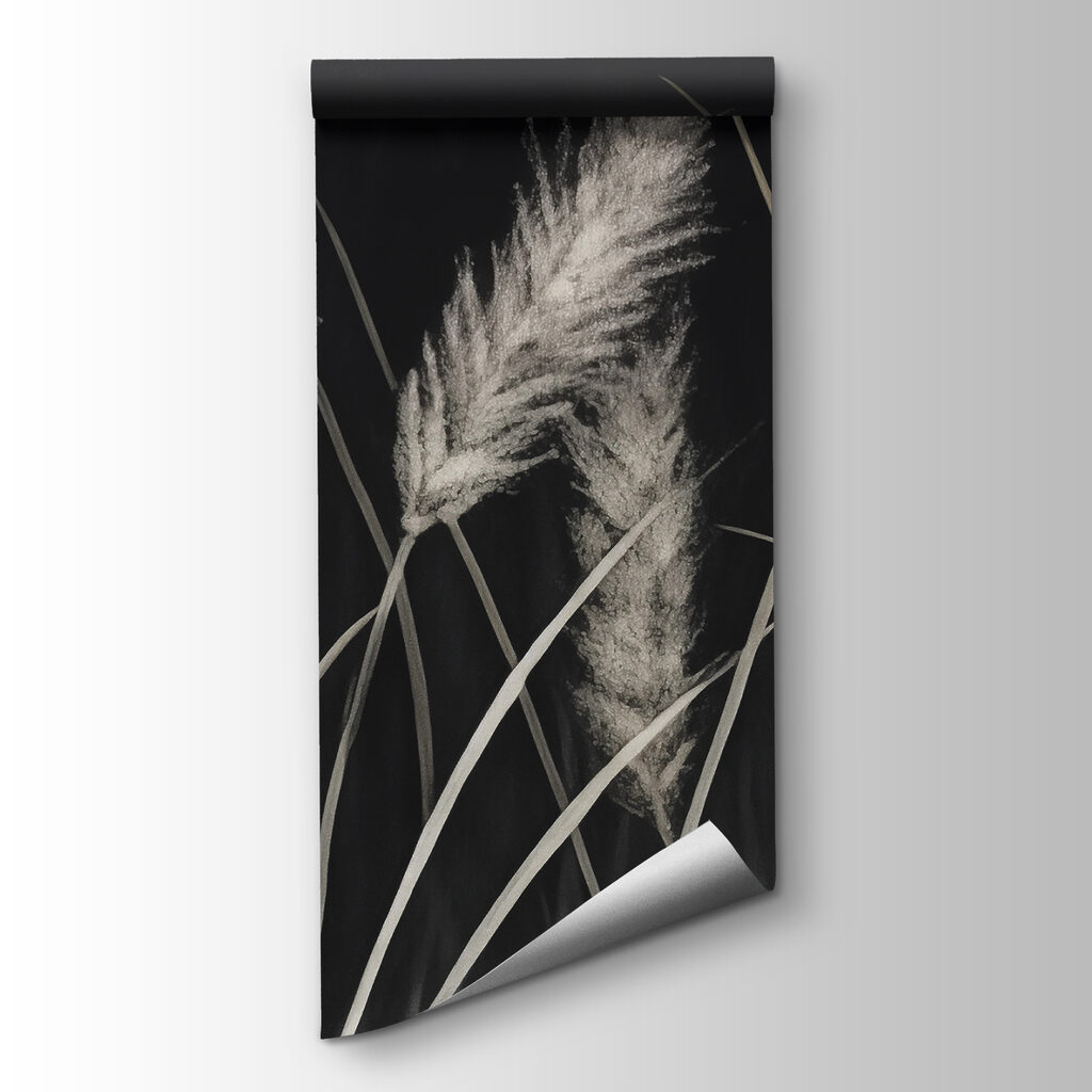 Soft grasses in a dark setting Soft grasses in a dark setting