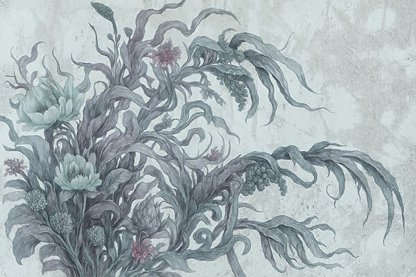 Drawing of a plant Drawing of a plant