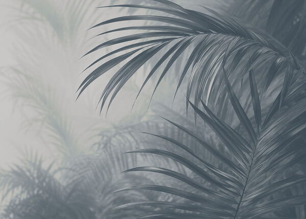 Soft foliage in muted tones Soft foliage in muted tones