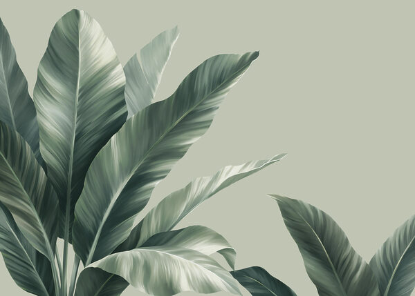 Lush leaves against a soft backdrop