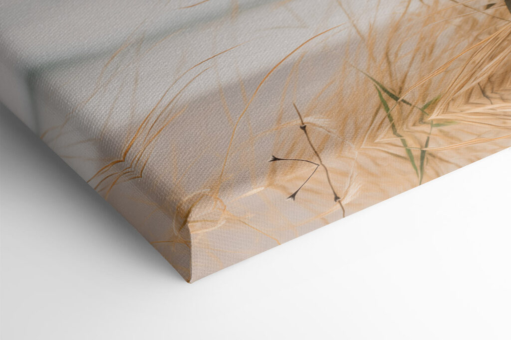 Gentle breeze through tall grasses