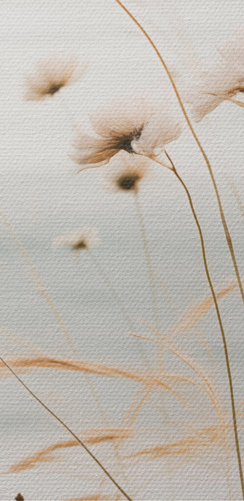 Gentle breeze through tall grasses