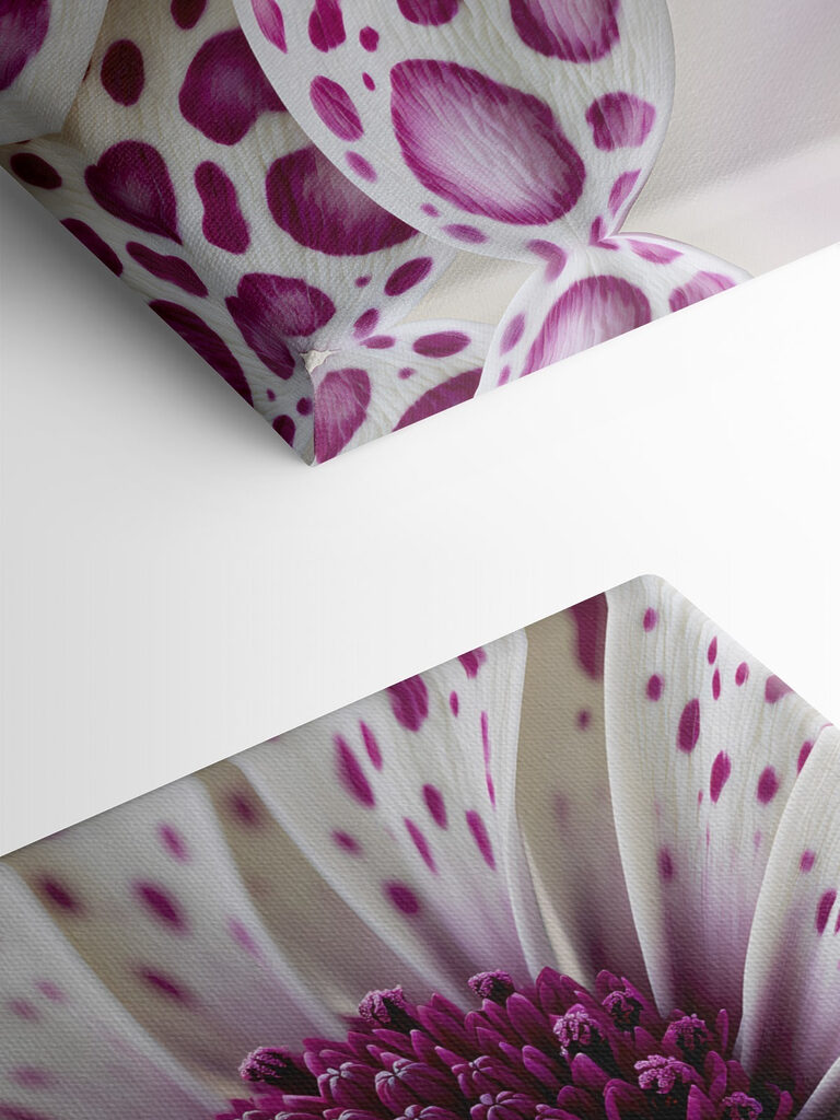 Vibrant petals in soft hues