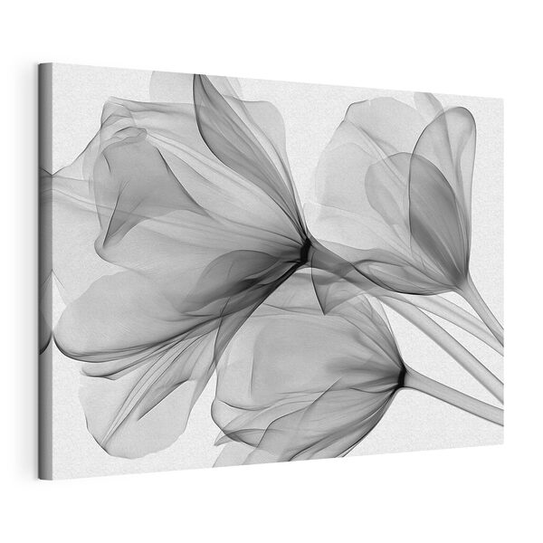 Buchet de flori cu tul Tablouri Buchet de flori cu tul