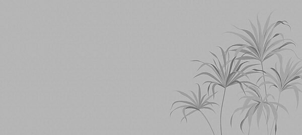 Grey background with leaves
