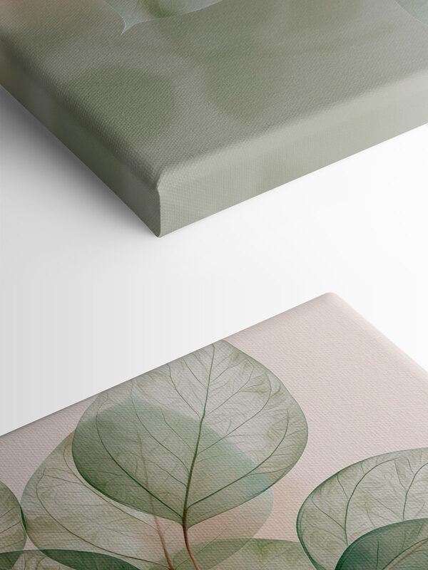 Translucent leaves in soft light