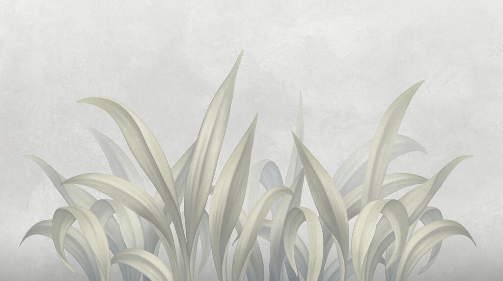 Delicate leaves on a soft background Delicate leaves on a soft background