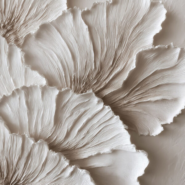 Elegant layers of textured petals Elegant layers of textured petals