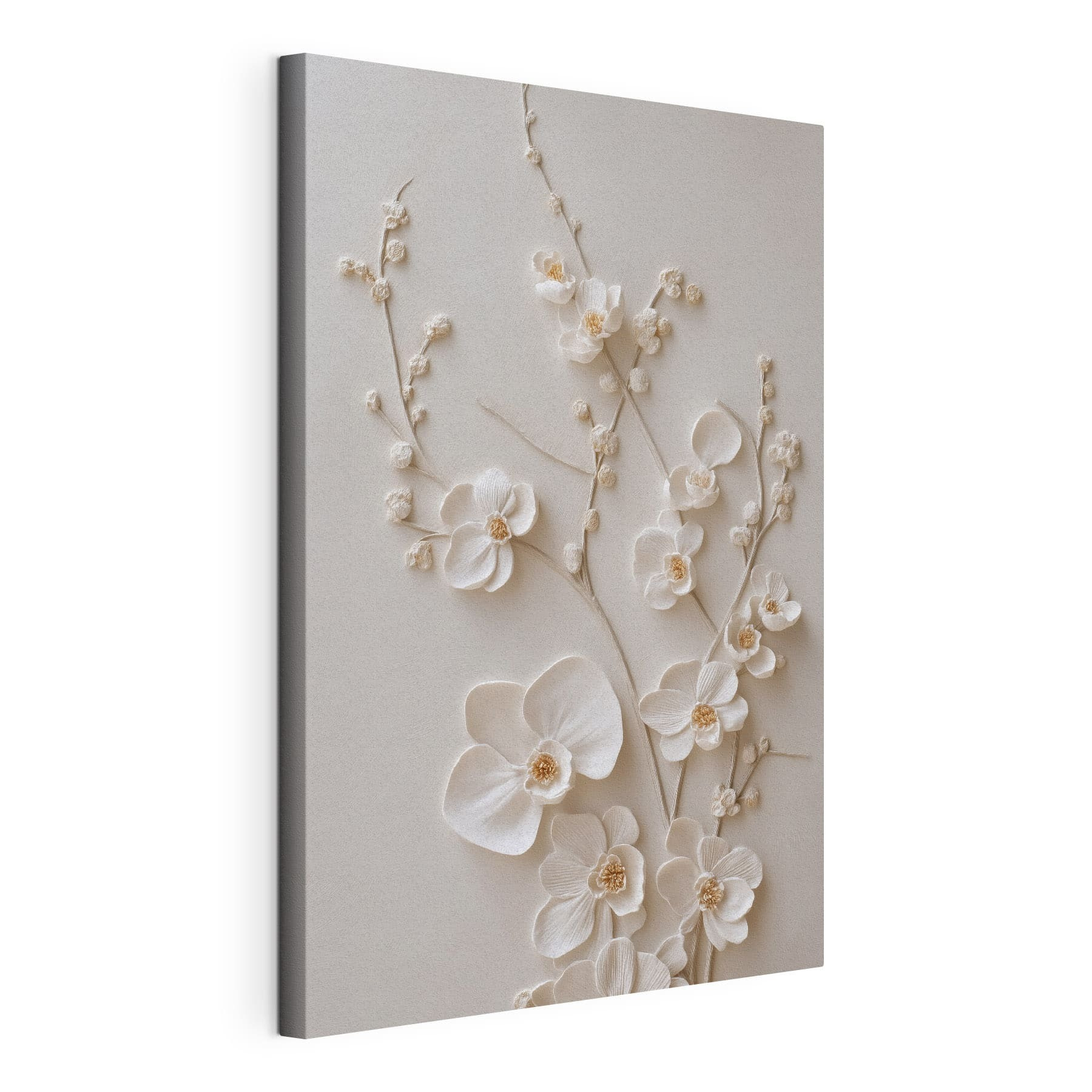 White flowers on a white surface