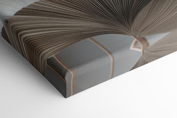 Delicate folds of nature's design