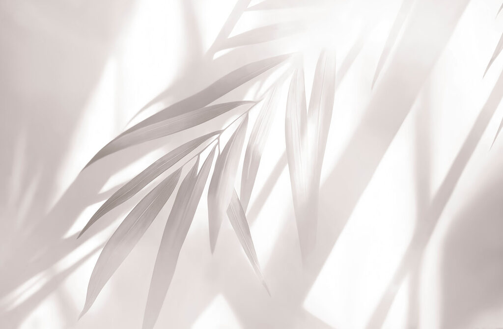 Soft shadows of leaves in daylight