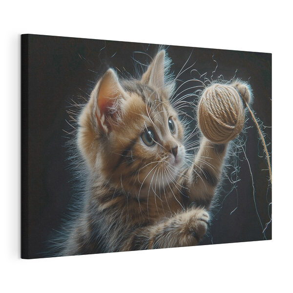 O pisică se joacă cu o minge de fire Tablouri O pisică se joacă cu o minge de fire