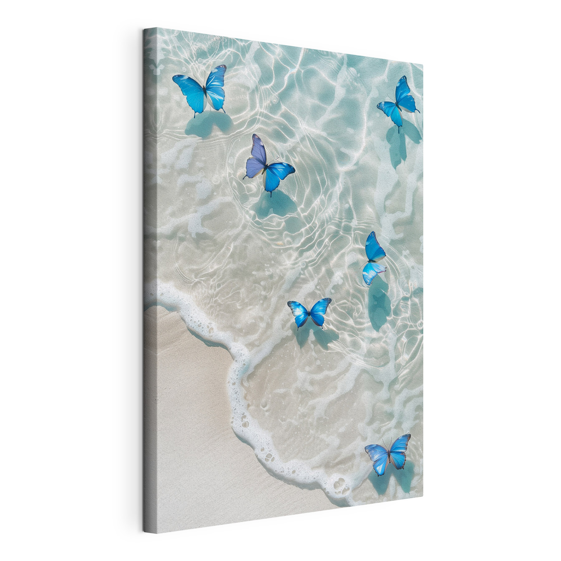 Butterflies on the water Butterflies on the water
