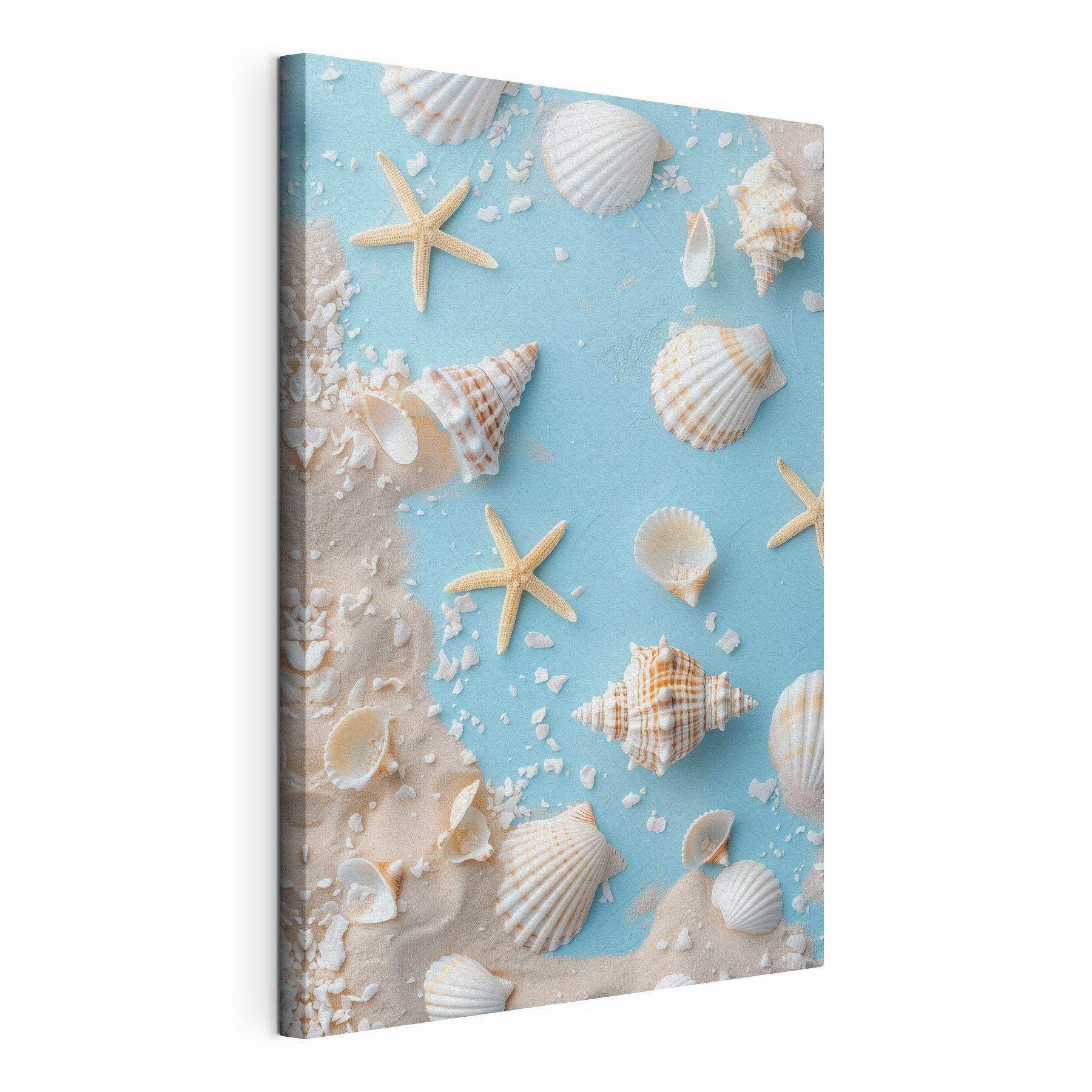 Group of seashells and starfish on sand