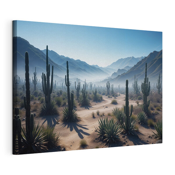 Tablouri Cactus în deșert