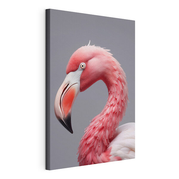 Close up de un flamingo roz Tablouri Close up de un flamingo roz