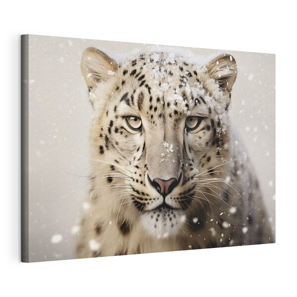 Tablouri Leopard de zăpadă cu zăpadă pe cap