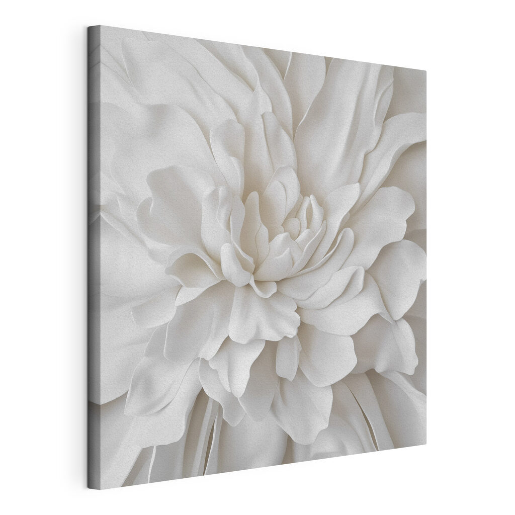 Delicate layers of soft petals Delicate layers of soft petals