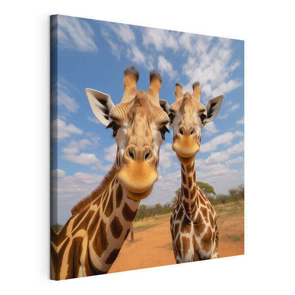 Două girafe în picioare pe un câmp Tablouri Două girafe în picioare pe un câmp