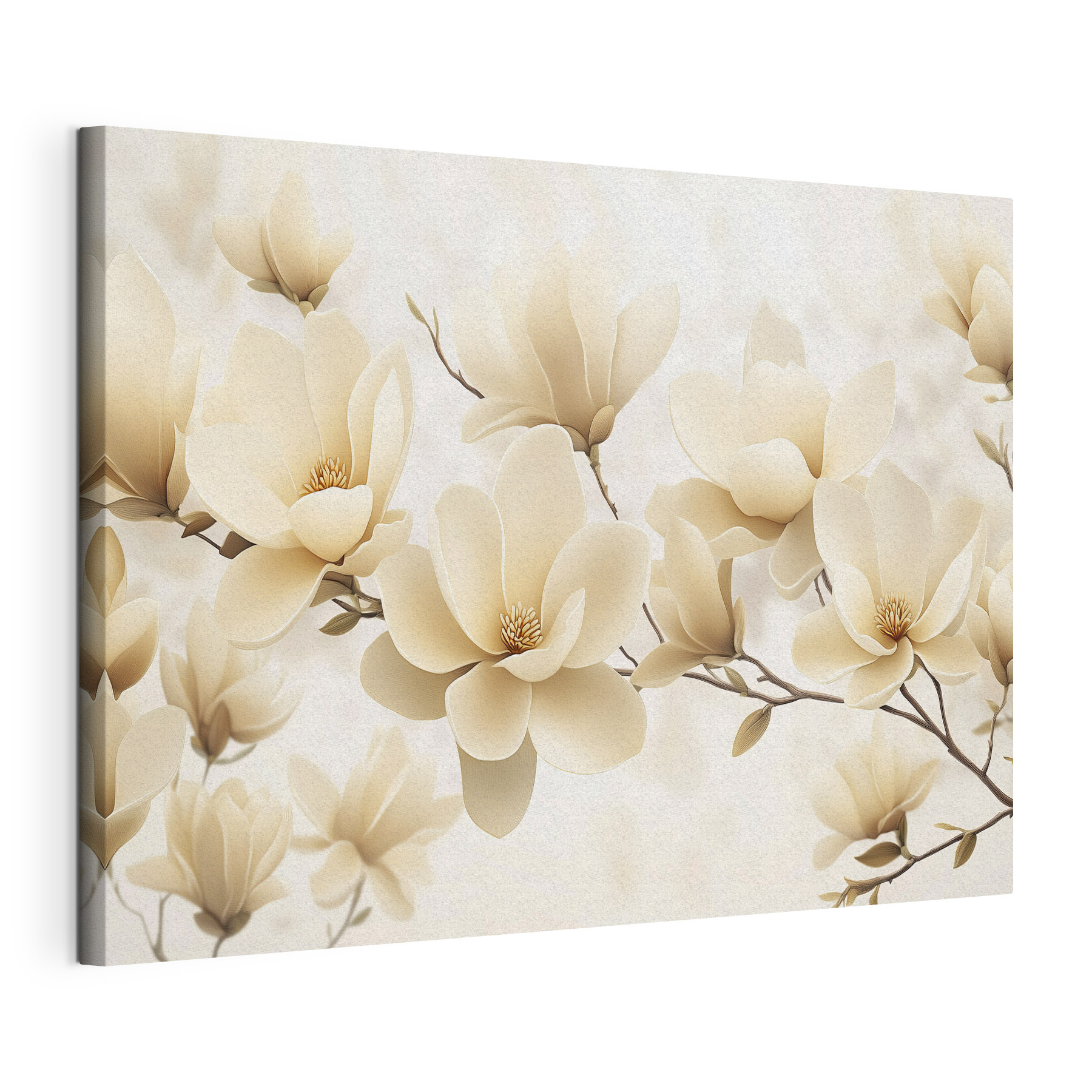 Group of white flowers