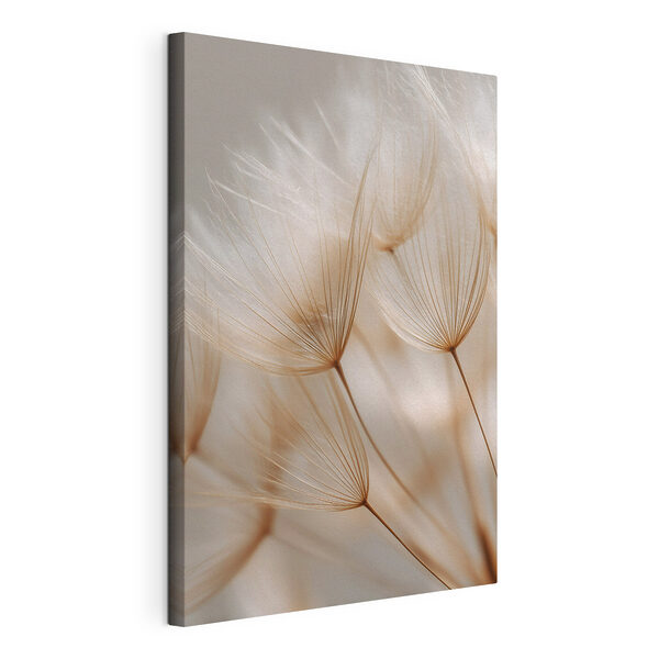 Delicate wisps dancing in soft light Delicate wisps dancing in soft light