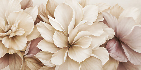 Delicate petals in soft hues