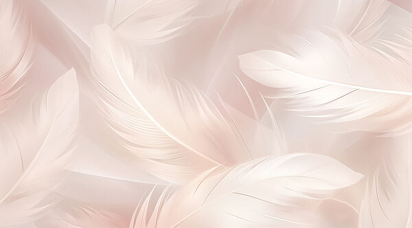 Gentle touches of soft elegance Gentle touches of soft elegance